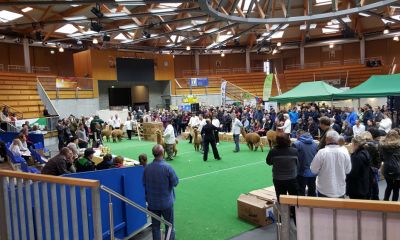 brandtely-show-02-16-128.jpg