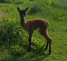 20180608_084255.jpg